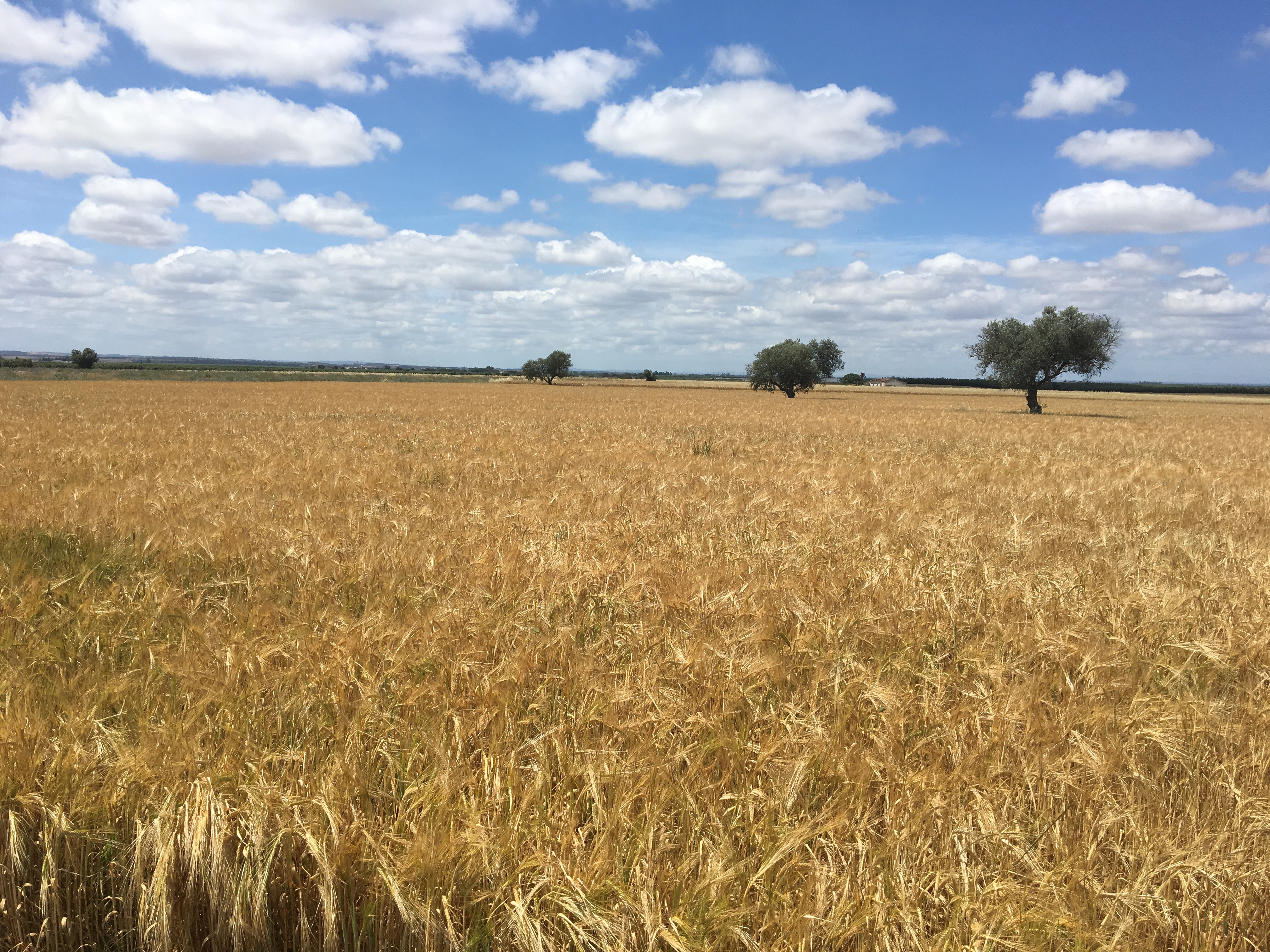 This image has an empty alt attribute; its file name is img_1635.jpg