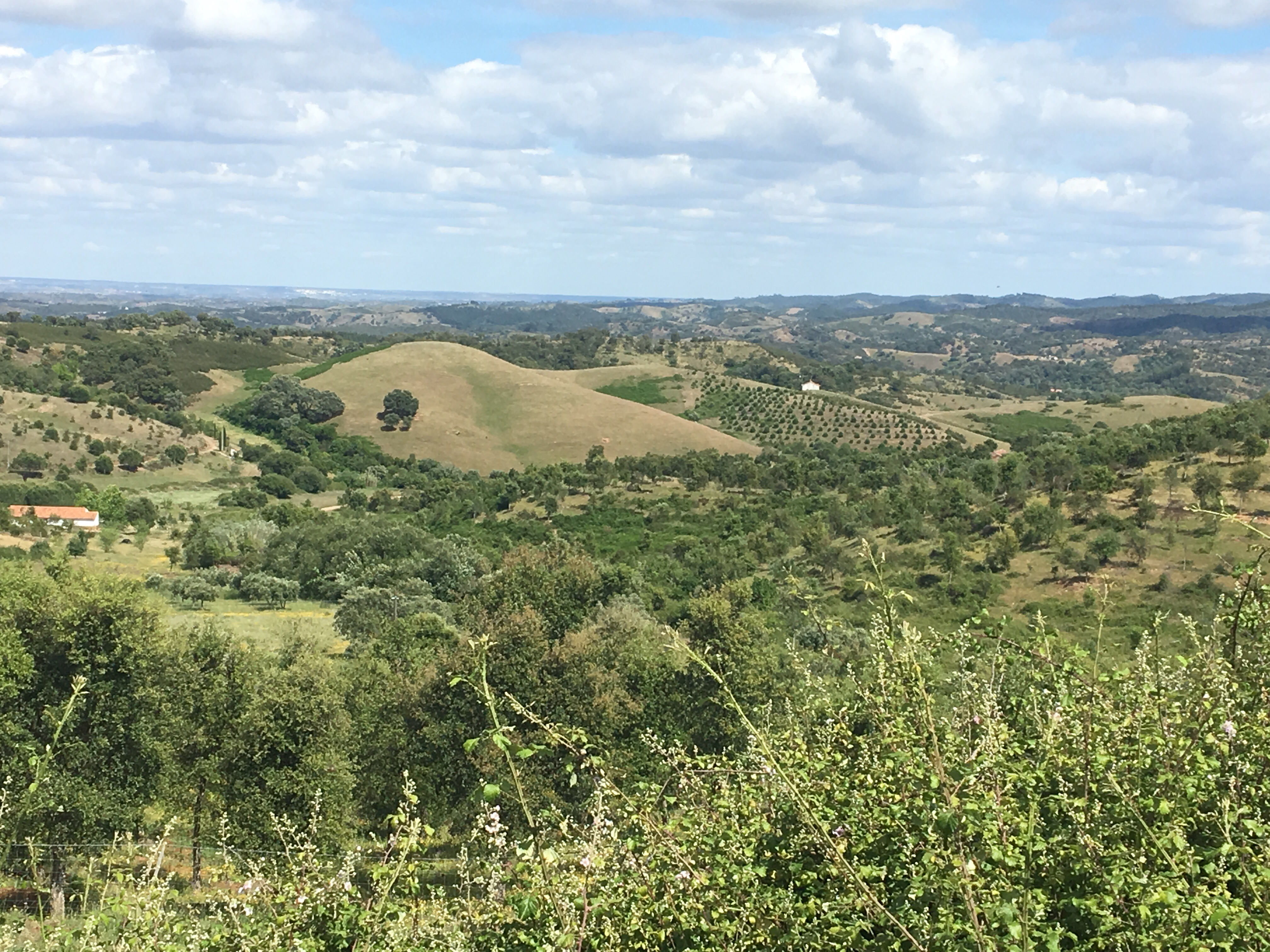 This image has an empty alt attribute; its file name is img_1640.jpg