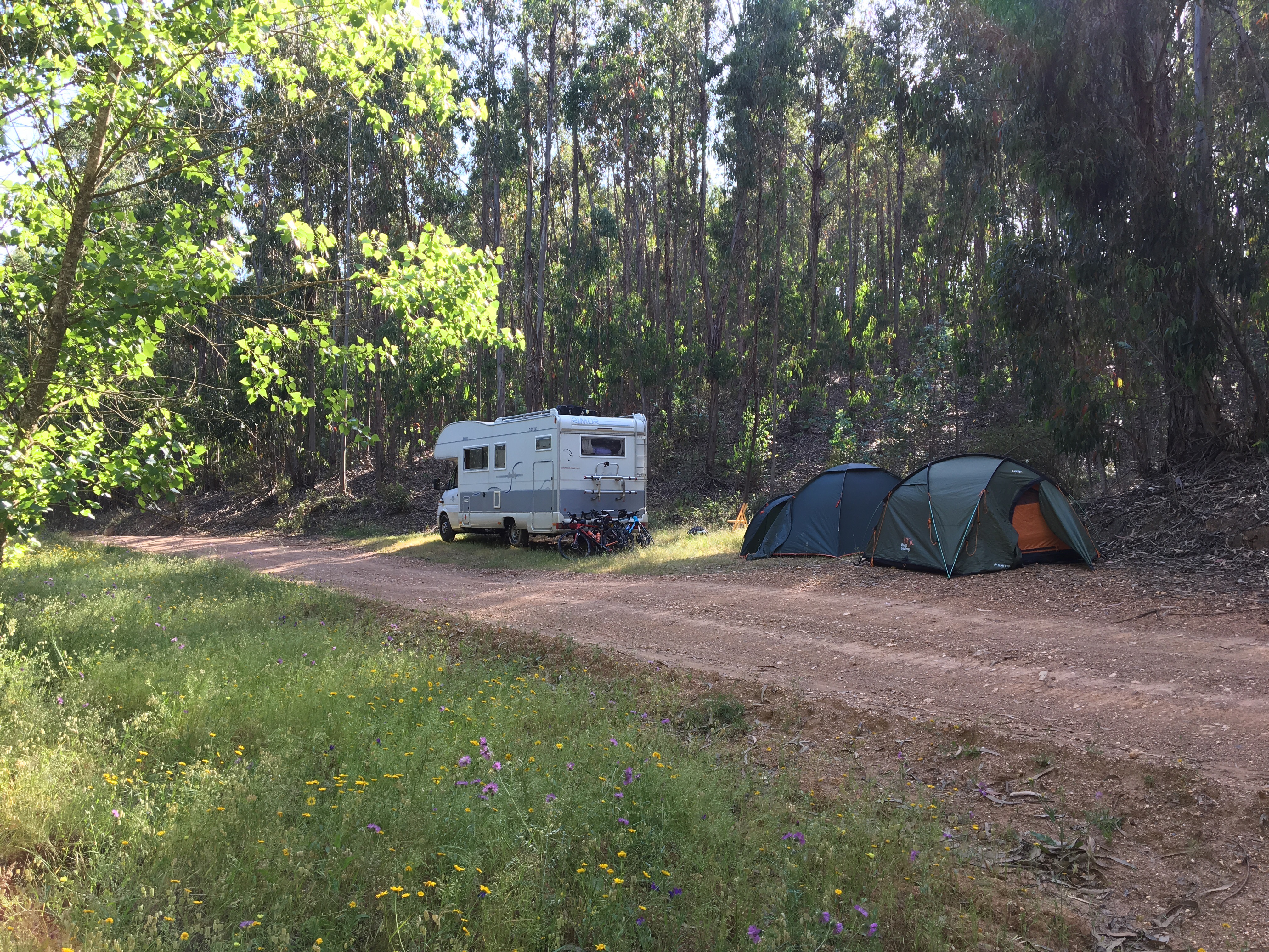 This image has an empty alt attribute; its file name is img_1646.jpg