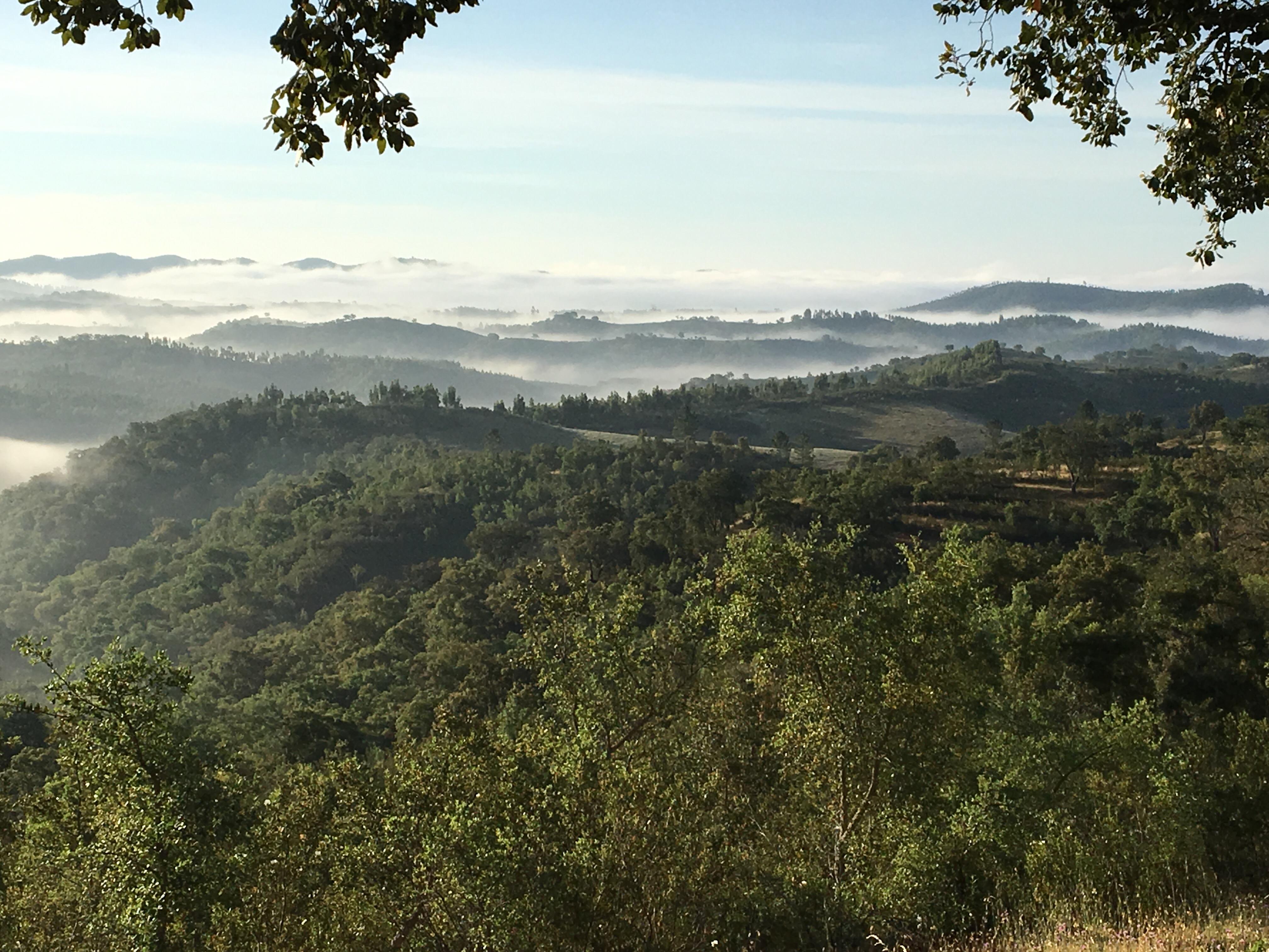 This image has an empty alt attribute; its file name is img_1661.jpg